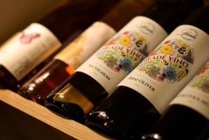 Wieczorna wycieczka po Bratysławie i degustacja win z Wiednia