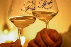 Wieczorna wycieczka po Bratysławie i degustacja win z Wiednia