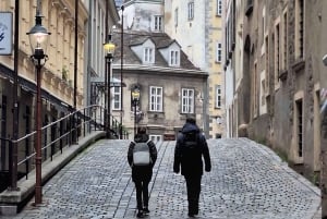 Visite en petit groupe exclusive : Les joyaux cachés et les points forts de Vienne