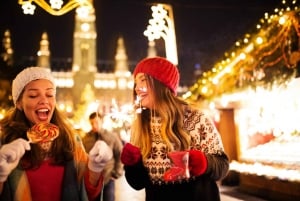 Esplorare Vienna nel periodo natalizio - Tour privato a piedi