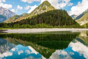 Florenz: Privater Transfer nach Wien mit Sightseeing + Tickets