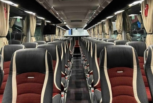 Da Bratislava/Vienna: Trasferimenti in autobus veloci e confortevoli
