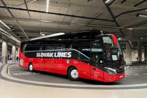 Desde Bratislava/Viena: Traslados rápidos y cómodos en autobús