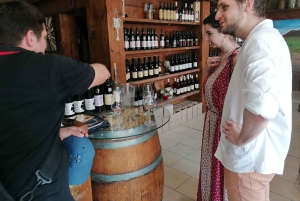 Wienistä ja Bratislavasta: Moravia: Lednicen linna ja puisto