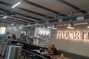 Wienistä ja Bratislavasta: Moravia: Lednicen linna ja puisto