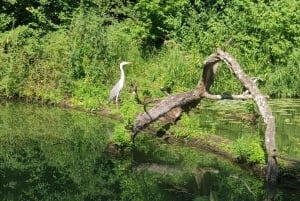 Wienistä ja Bratislavasta: Moravia: Lednicen linna ja puisto