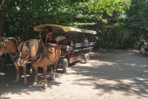 Wienistä ja Bratislavasta: Moravia: Lednicen linna ja puisto