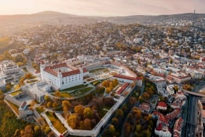 From Vienna: Bratislava City Highlights Trip