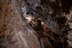 From Vienna: Bratislava & Countryside Guided Half Day Tour