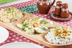 From Vienna: Bratislava & Countryside Guided Half Day Tour