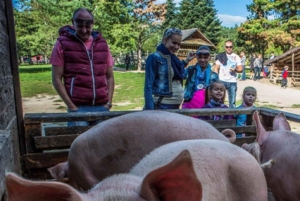 From Vienna: Bratislava & Countryside Guided Half Day Tour