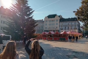 From Vienna: Bratislava Full-Day Trip with Traditional Lunch