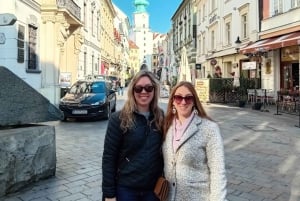 From Vienna: Bratislava Full-Day Trip with Traditional Lunch