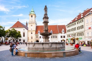 From Vienna: Bratislava Private City Exploration Day Trip