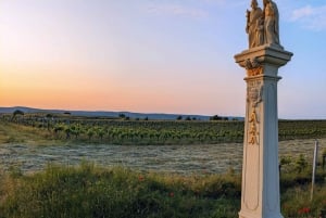 Z Wiednia: wycieczka rowerowa po Burgenlandzie i degustacja wina