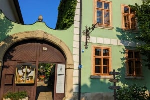 Från Wien: Cykel- och vinprovningstur i Burgenland
