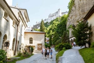 De Viena: Excursão de um dia a Salzburgo