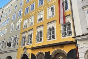 Från Wien: Dagsutflykt till Salzburg