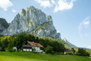 Från Wien: Dagsutflykt till Salzburg