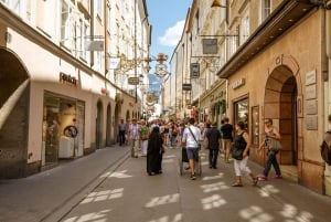 Från Wien: Dagsutflykt till Salzburg