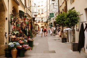 Från Wien: Dagsutflykt till Salzburg