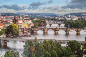 Fra Wien: Dagsudflugt til Prag og Brno med transport
