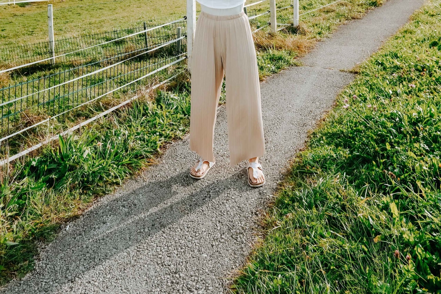 Fra Wien: Dagstur til Salzburg med transport