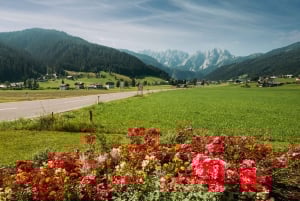 Fra Wien: Dagstur til Salzburg med transport