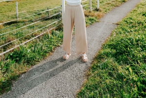 Fra Wien: Dagstur til Salzburg med transport