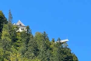 Desde Viena: Excursión de un día a Gmunden, Hallstatt y Salzkammergut