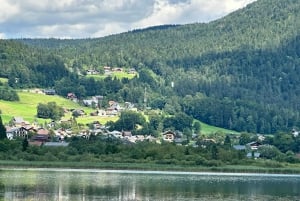 Desde Viena: Excursión de un día a Gmunden, Hallstatt y Salzkammergut