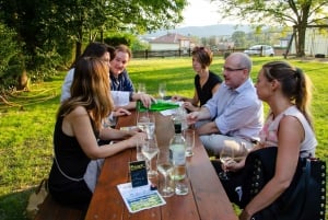 Vanuit Wenen: wijntour van een halve dag op het platteland met maaltijd