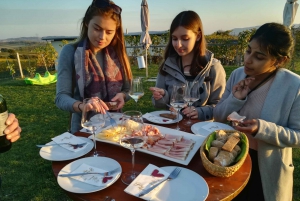 From Vienna: Half-day Countryside Wine Tour with Meal