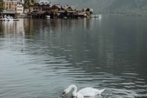 Vanuit Wenen: dagtrip naar Hallstatt en Salzburg met gids