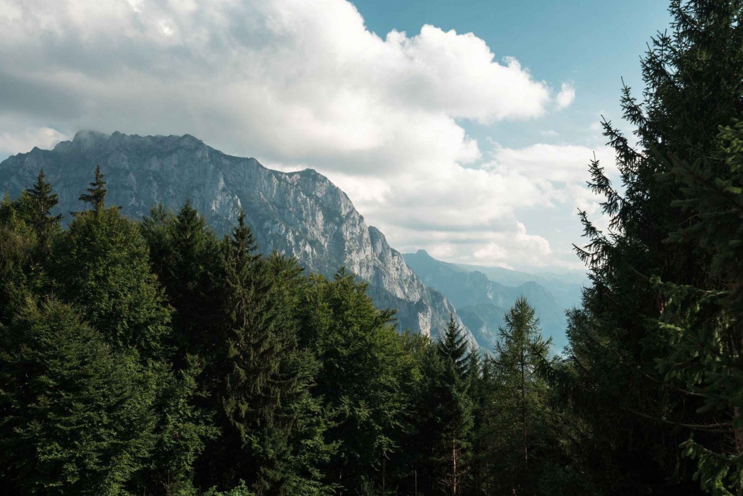 Wienistä: Hallstatt ja Puupolku Yksityinen päiväretki