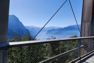 Wienistä: Hallstatt ja Puupolku Yksityinen päiväretki