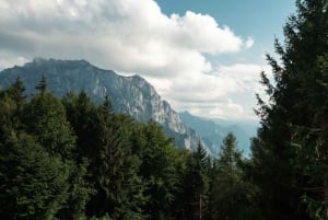 Wienistä: Hallstatt ja Puupolku Yksityinen päiväretki