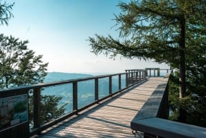 Wienistä: Hallstatt ja Puupolku Yksityinen päiväretki