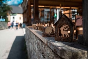 Wienistä: Hallstatt ja Puupolku Yksityinen päiväretki