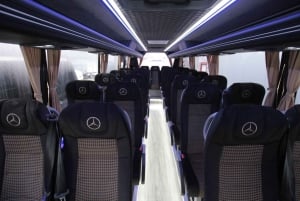 Из Вены: Однодневная экскурсия в Халльштат с круизом по озеру