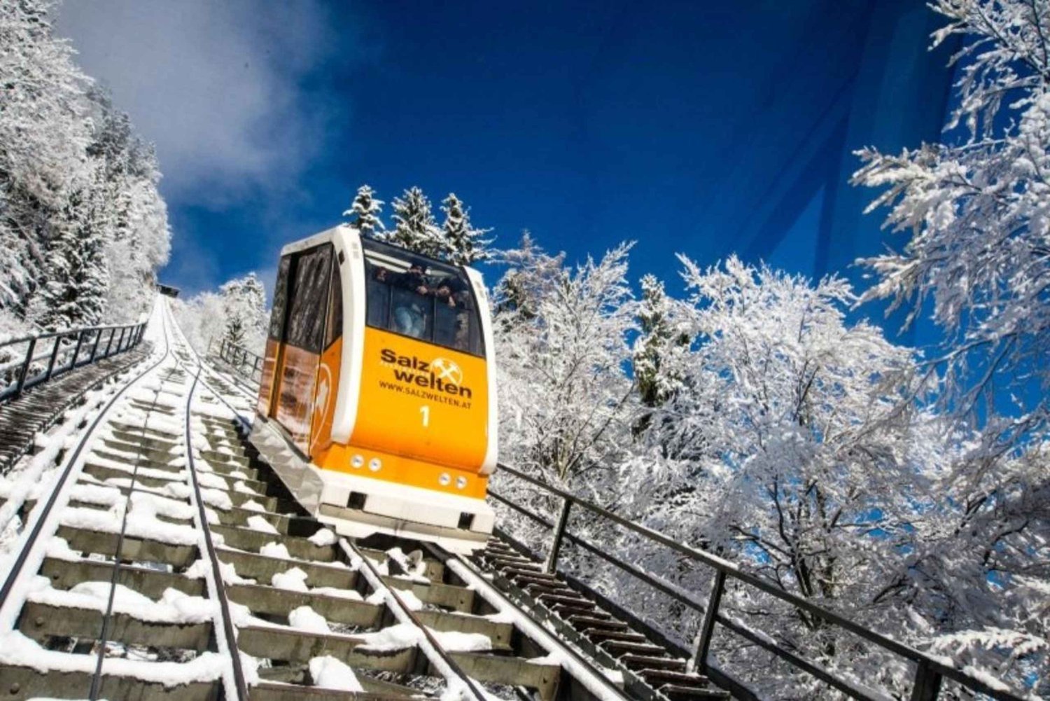 Из Вены: однодневная поездка в Гальштат с посещением Skywalk и замка Орт