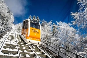 From Vienna: Hallstatt Day Trip with boatride & Schloss Ort