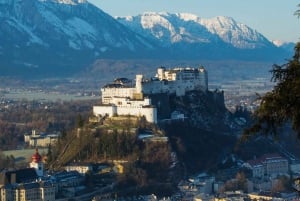 From Vienna: Hallstatt with Skywalk lift & Salzburg day tour