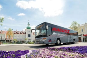Z Wiednia: Parndorf Outlets Transfer autobusem wahadłowym