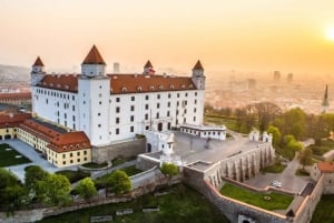 De Viena: excursão privada de um dia ao Castelo de Devin e Bratislava