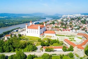 De Vienne: visite privée d'une journée du château de Devin et de Bratislava