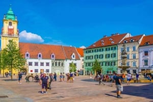 From Vienna: Private Day Tour of Devin Castle & Bratislava