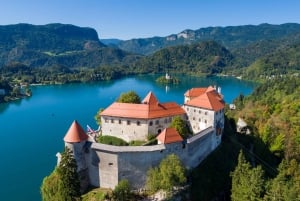 Da Vienna: tour privato di un giorno a Lubiana e al lago di Bled