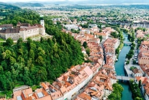 Au départ de Vienne : Excursion privée d'une journée à Ljubljana et au lac Bled