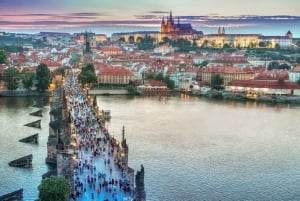 Desde Viena: Excursión privada de un día a Praga inc. Guía local